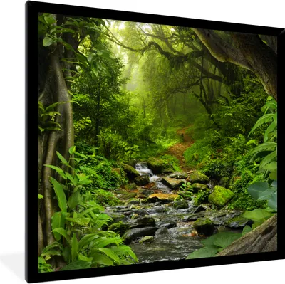 Produktbild von MuchoWow® Gerahmtes Poster Natur - Wasser - Dschungel - Wald - Tropisch 40x40 cm - Poster mit Schwarzem Bilderrahmen Wandposter Rahmen Foto Bilder - Mit Rahmen - Wanddekoration Schlafzimmer