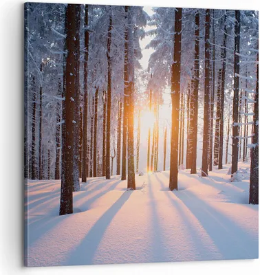 Produktbild von Bild auf Leinwand - Leinwandbild - Wald Winter Schnee - 60x60cm - Wand Bild - Wanddeko - Wandbilder - Leinwanddruck - Bilder - Kunstdruck - Wanddekoration - Leinwand bilder - Wandkunst - AC60x60-3629