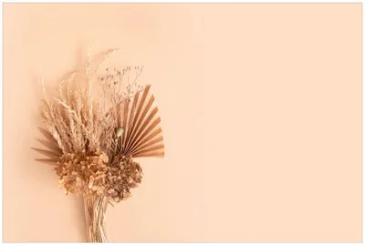Produktbild von Wallario Küchenrückwand selbstklebend, Größe: 90 x 60 cm, Motiv: Trockenblumenarrangement | Spritzschutz | abwischbar | pflegeleicht | in
