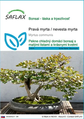 Obrázok produktu pre SAFLAX - Pravá myrta / nevesta myrta - Myrtus communis - 30 Semená