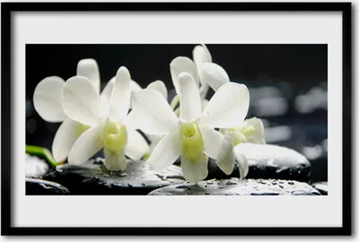 Produktbild von Bild 60x40 MDF-Rahmen Wandkunst Steine ​​Orchideen-Blumen