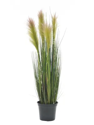 Obrázek produktu pro Europalms Federgras künstlich rose 90cm 82505865