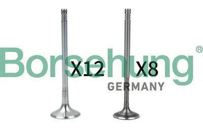 Produktbild von Borsehung Ventil B18636 für VW Golf IV Schrägheck (1J1)