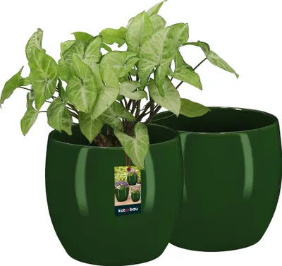 Two green ceramic plant pots, one with a plant and a tag, against a white background.