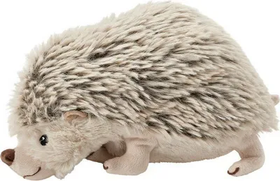 A plush toy hedgehog on a white background.