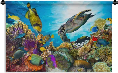 Produktbild von MuchoWow® Wandteppich Wandbehang Schildkröte - Meer - Koralle 60x40 cm Tapisserie Dekoration Wandtuch - Wanddekorationen