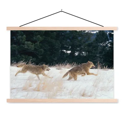 Produktbild von MuchoWow® Textilposter Wolf - Baum - Tiere 120x80 cm mit holzfarbenen Rahmen - Aufhängeset