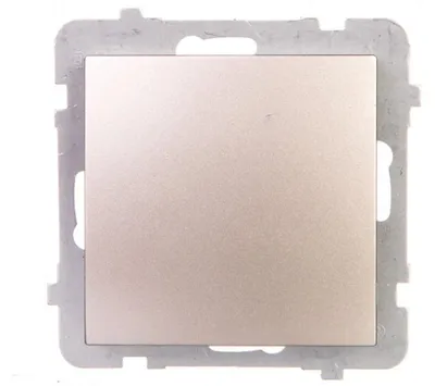 Imagen del producto de Ospel ŁP-1G/m/45, acero satinado, IP20, 250 V, 10 A, 71 mm, 40 mm