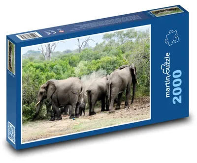 Obrázek produktu pro martinpuzzle - Puzzle 2000 - Zvířata - sloni