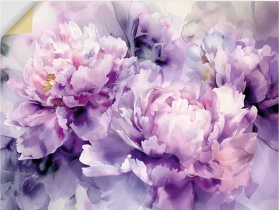 Produktbild von ARTland Wandbild, selbstklebend Lila Farbene Pfingstrosen Aquarell Größe: 80x60 cm