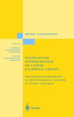 Immagine prodotto di Diophantine Approximation on Linear Algebraic Groups