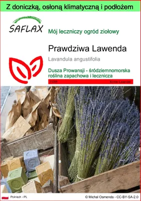 Zdjęcie produktu dla SAFLAX - Garden to go - Prawdziwa Lawenda - 150 Nasiona - Z doniczką, pokrywą klimatyczną i podłożem do uprawy - Lavandula angustifolia