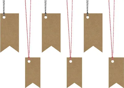 Produktbild von Geschenkanhänger Natur mit Kordel 6Stk.