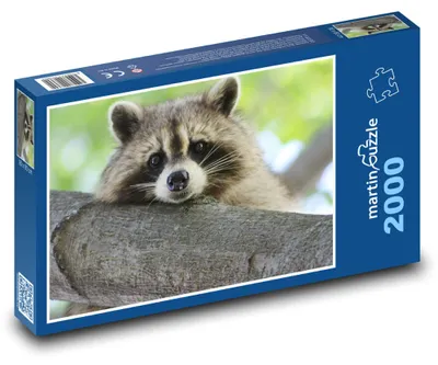 Obrázek produktu pro Puzzle 2000 Mýval ležící na větvi - martinpuzzle