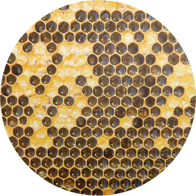 Produktbild von Bienenwabe – Bodenschutzmatte – Stuhlunterlage – Bürostuhlmatte – Rutschfeste Bodenmatte – Schutzmatte für Hartboden – fi 100 cm