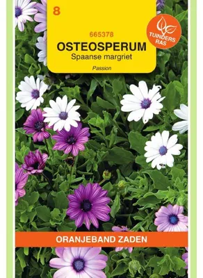 Imagen del producto de Semillas de la mezcla "Passion" de la variedad Osteospermum ecklonis "Oranjeband" - 1 paquete
