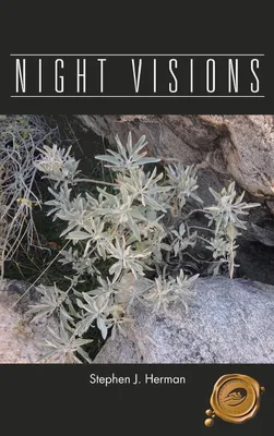 Produktbild von Night Visions