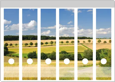 Produktbild von Wallario Ordnerrücken Sticker, selbstklebend für breite Ordner, 6 Stück, Motiv Feldlandschaft unter blauem Himmel