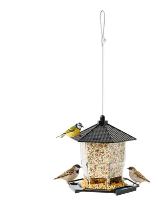 Image de Distributeur de nourriture suspendu pour oiseaux, avec perchoir
