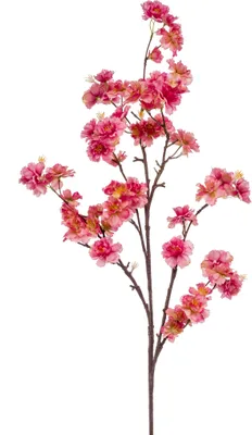 Produktbild von künstlicher Kirschblütenzweig Magnolie pink H. 120cm Emerald Kunstblumen