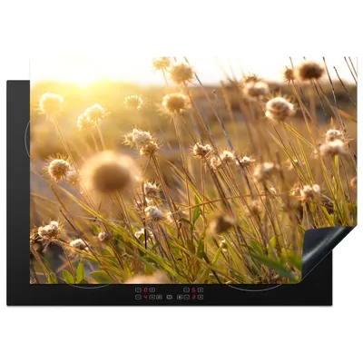 Produktbild von KitchenYeah© Herdabdeckplatte Pflanzen - Natur - Blumen - Sonne - Horizont , 75x52cm, Küche Deko, Glaskeramikkochfeld Herdabdeckung, Abdeckplatte fùr Kochfeld