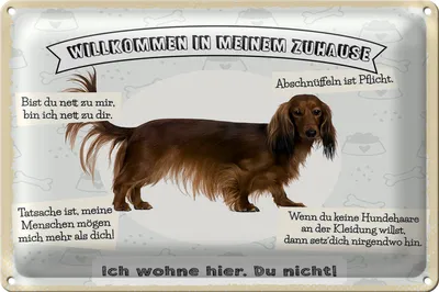 Produktbild von Blechschild Spruch 30x20cm Tiere Hund ich wohne hier du nicht