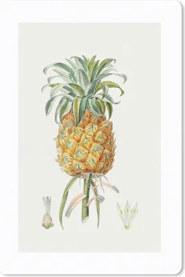 Produktbild von MuchoWow® Mauspad Mousepad Ananas - Obst - Lebensmittel 18x27 cm - Mousepads - Maus Mat - Pad - Mausunterlage