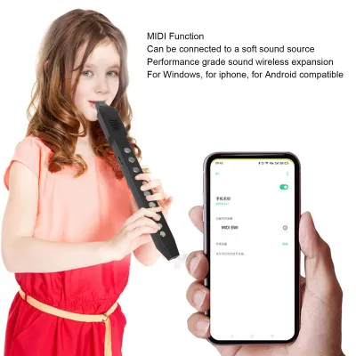 Digitales Blasinstrument, 10 Klangfarben, MIDI, schwarz