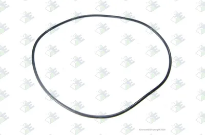 Obrázok produktu pre Euroricambi Tesniaci krúžok 60531384 2,95 mm guma 148,5 mm 154,4 mm