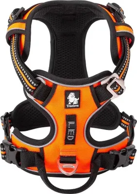 Image de Harnais, ajustement réglable, sécurité améliorée, orange, L