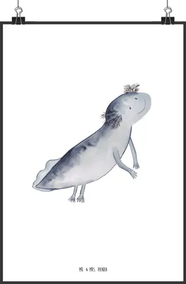 Produktbild von Mr. & Mrs. Panda Bild Axolotl Schwimmen DIN A2 - Weiß - Geschenk, Plakat, Wandbild, wanddeko, drucke, Optimistisch, Lurch, Deko, Schwanzlurch, Motivation