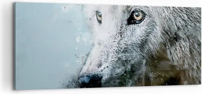 Produktbild von Bild auf Leinwand - Leinwandbild - Einteilig - Weiß Der Wolf Bild - 100x40cm - Wand Bild - Wanddeko - Wandbilder - Leinwanddruck - Bilder - Wanddekoration - Leinwand bilder - Wandbild - AB100x40-4623