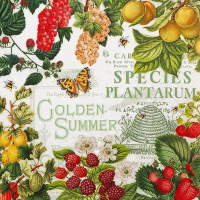 Produktbild von 20 Servietten Summer Fruits - Früchte mit Sommerlaune 33x33cm