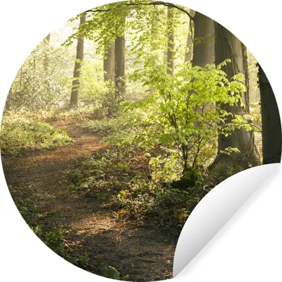 Produktbild von MuchoWow® Runde Wandtattoo - Wandsticker Tapete Aufkleber Wald - Bäume - Weg - Sonne - Pflanzen - Laub - Natur Ø 80 cm Selbstklebend und Repositionierbar - Wandaufkleber - Kreis - Mauerkreis - Wand Bilder - Wandsticker - Wohnzimmer Dekoration - Dekoration für die Wände - Aluminium - Babyzimmer