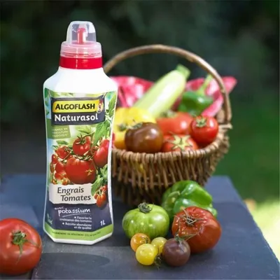 Immagine prodotto di Concime liquido per pomodori ALGOFLASH, 1 L, Prodotto naturale, Utilizzabile in agricoltura biologica