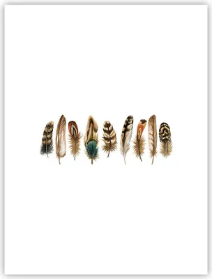 Produktbild von Poster - Poster ohne Rahmen - Weiß Hintergrund Federn - 30x40 cm - Wand Bild - Wanddeko - Wandbilder - Kunstposter - Wandposter - Bilder - Kunstdruck - Wanddekoration - Wandbild - P2XPA30x40-4419