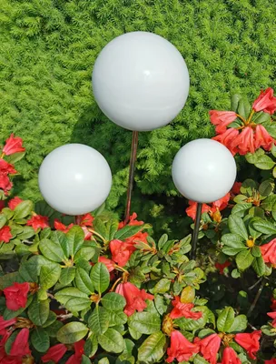 Produktbild von Rosenkugel 3er Set 15-10-10 cm Edelstahl weiß poliert mit Stab 80 cm Beetstecker