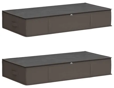 Imagen del producto de vidaXL: Caja de almacenamiento con tapa transparente, 2 unidades, 64,8 litros