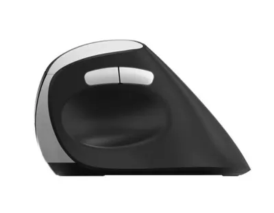 Produktbild von Rapoo EV250 Schwarz Wireless Ergonomic Mouse