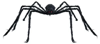 Produktbild von Schwarze Grusel Spinne