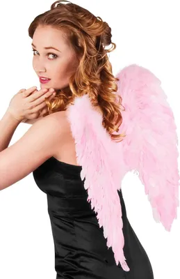 Obrázek produktu pro Boland 8712026528254, Křídla, Dospělý, Ženy, Feather, Železo, Papír, Polyester, Růžová, 500 mm