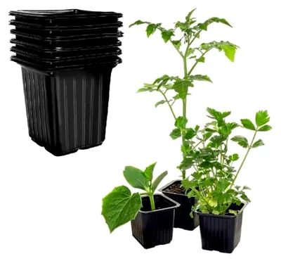 Produktbild von Quadratische Anzuchttöpfe Anzuchtschale Aussaattöpfe Schwarz Ziehtöpfe Anzuchttopf (20, 7 cm)