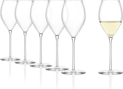 Imagen del producto de Copas de champán elegantes, copas para vino espumoso, 425 ml, juego de 6 unidades