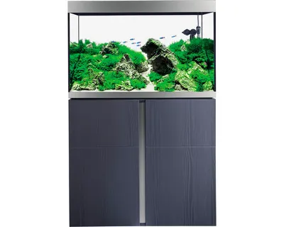 Produktbild von Aquariumkombination Fluval Siena 272 mit LED-Beleuchtung, Heizer, Außenfilter und Unterschrank 272 l Grafit 90 x 55 x 12