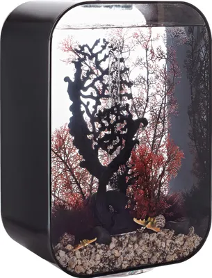 Obrázek produktu pro Akvárium biOrb LIFE 45 MCR černá
