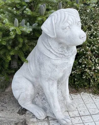 Obrázok produktu pre Casa Padrino Záhradná dekorácia Socha rotvajlera sivá 40 x 20 x v. 67 cm - Elegantná záhradná dekorácia Kamenná figúra - Dekoratívna figúra zvieraťa - Záhradné dekorácie