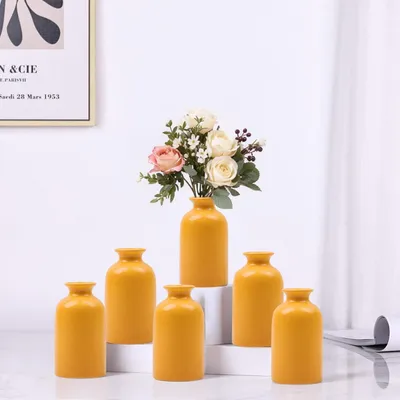 Immagine prodotto di Set di 6 vasi in Vetroceramica, colore giallo, dimensioni 7,1 x 12,7 cm, ideali per fiori secchi e composizioni decorative