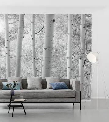 Produktbild von Komar Vlies Fototapete "Espenwald" - Größe: 450 x 280 cm (Breite x Höhe) - 9 Bahnen