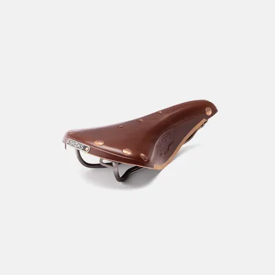 Image de Selles Vélo Brooks B211000A27205 - B17 Special Titanium - Antic Brown