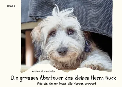 Produktbild von Die grossen Abenteuer des kleinen Herrn Nuck